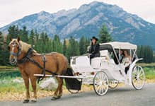 Carriage Rides - Trail Rider Store